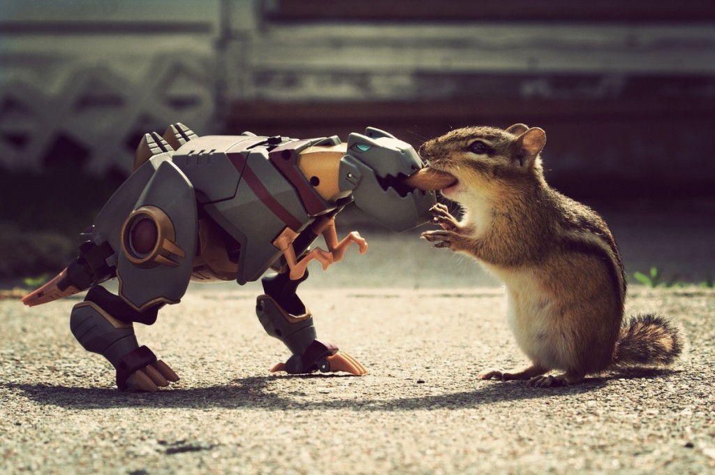 grimlock_squirrel
